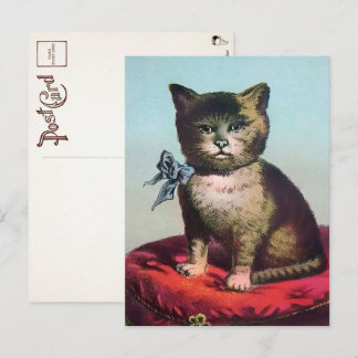 Victoriansk udda katt postkort vykort