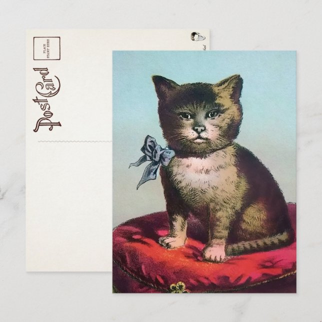 Victoriansk udda katt postkort vykort (Fram/baksida)
