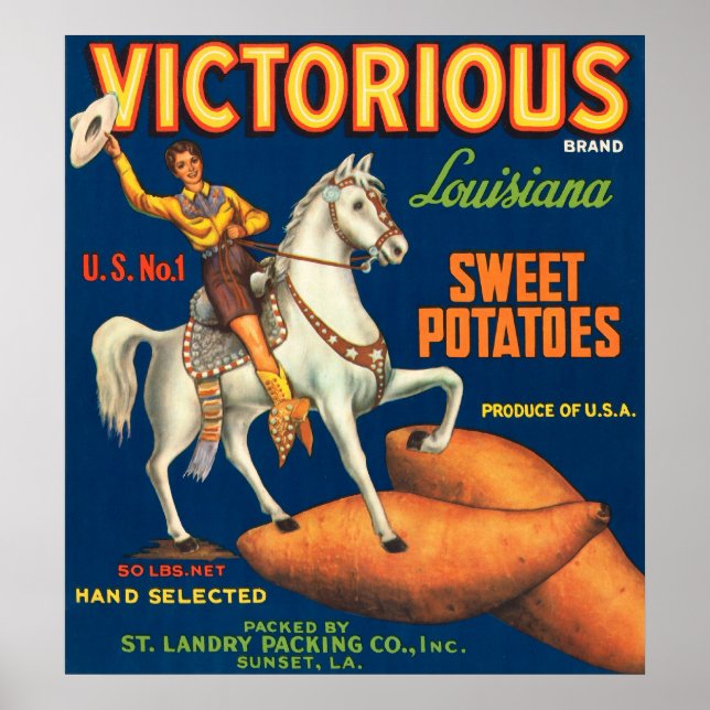 Victorious Sweet Potatoes Poster (Framsidan)