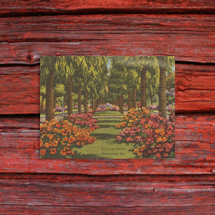 Victory Dr Azaleor Palmträd Savannah GA retro Vykort