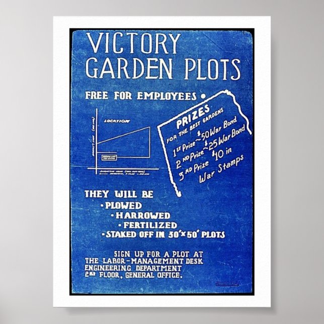 Victory Garden Plot, gratis för anställda Poster (Framsidan)