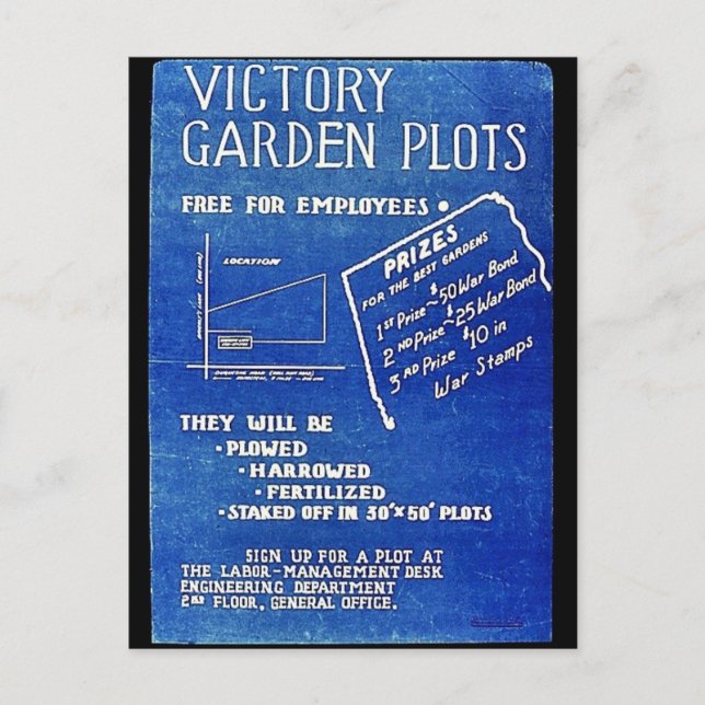 Victory Garden Plot, gratis för anställda Vykort (Framsida)