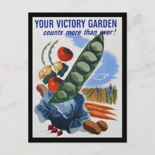 Victory Garden Vykort