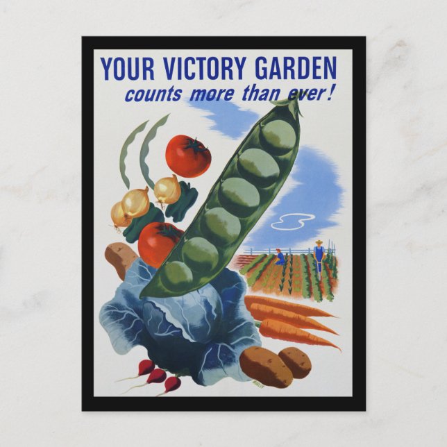 Victory Garden Vykort (Framsida)
