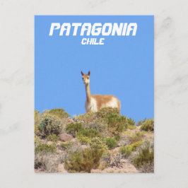 Vicuna Patagonia, Chiles vykort - Lodrät