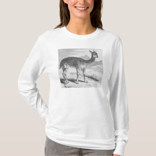Vicunaen på Rioen de Azufre T Shirt