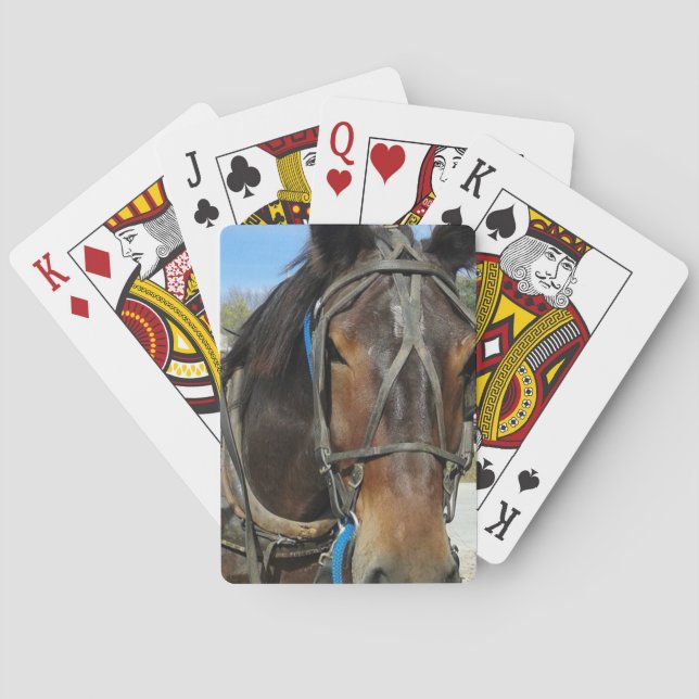Vid Bibliotek, Amish Horse and Buggy Spelkort (Baksidan)