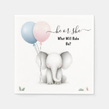 Vid Big Zoo Baby White Elephant Birth Gender Revea