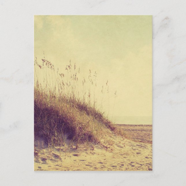 Vid dynerna vykort (Framsida)