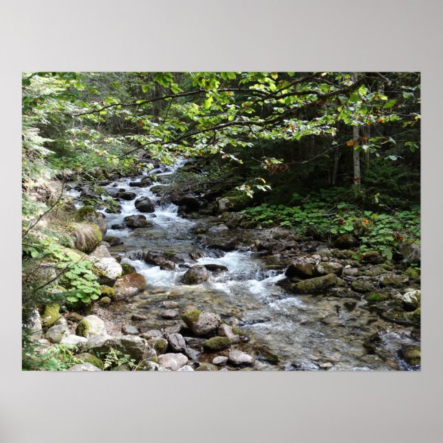 Vid flodens fotografi Poster (Framsidan)