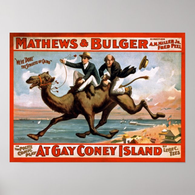 Vid Gay Coney Island Vintage affisch (Framsidan)