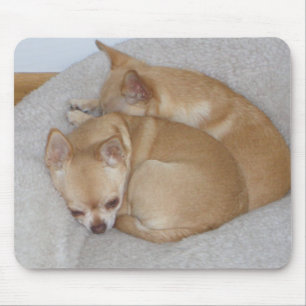 VID gullig Chihuahua förföljer valpen Mousepad Musmatta