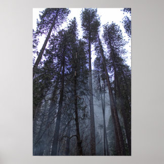 Vid Half Domes bas - Yosemite Poster