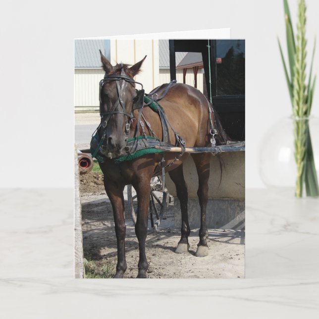Vid Hitching Post Birthday Kort (Framsida)