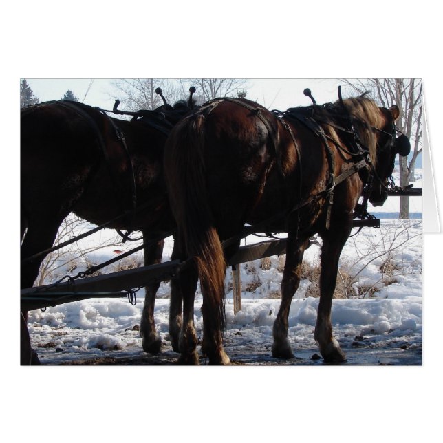 Vid Hitching Post Hälsningskort (Framsidan Horizontal)