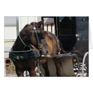Vid Hitching Post Hälsningskort
