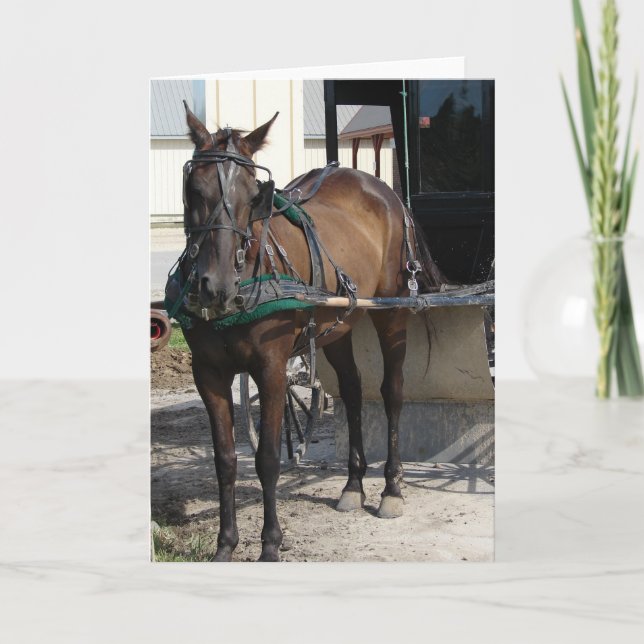 Vid Hitching Post Kort (Framsida)