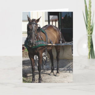Vid Hitching Post Kort