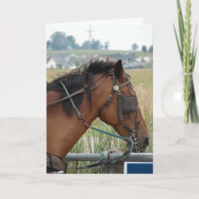 Vid Hitching Post Kort (Framsida)