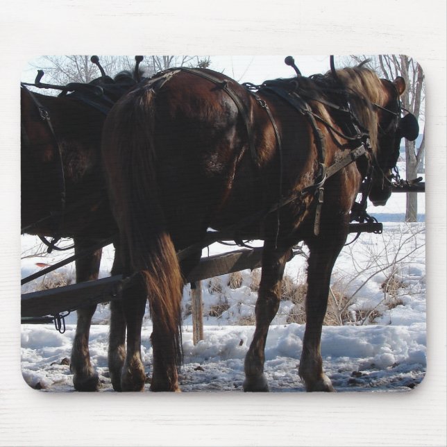 Vid Hitching Post Musmatta (Framsidan)