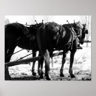 Vid Hitching Post Poster