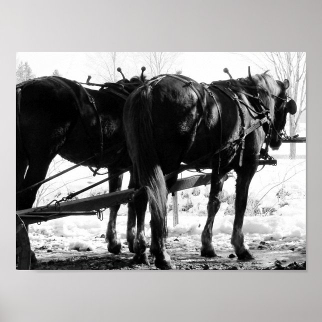 Vid Hitching Post Poster (Framsidan)