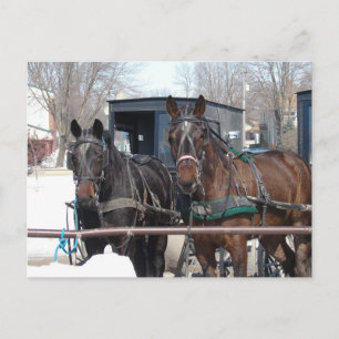 Vid Hitching Post Vykort