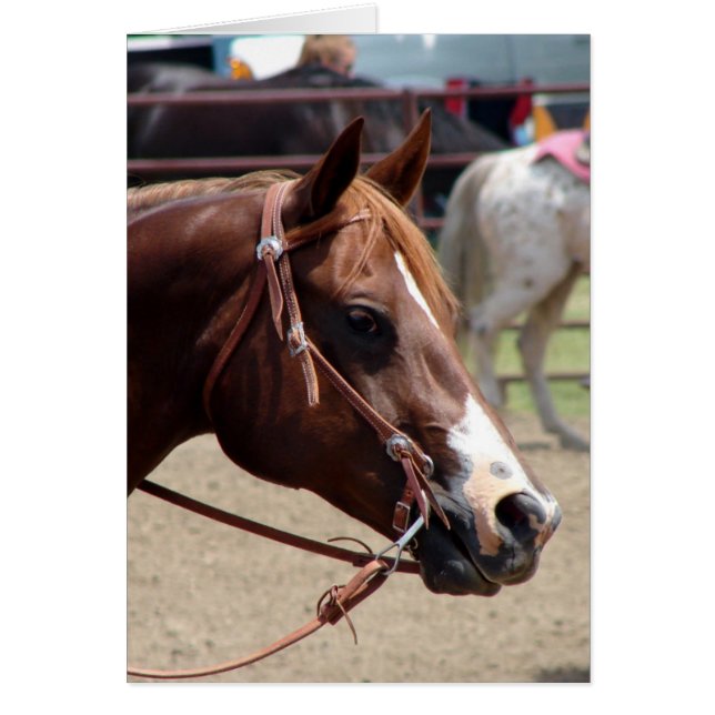 Vid Horse Show Hälsningskort (Framsidan)