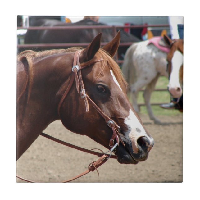 Vid Horse Show Kakelplatta (Framsidan)