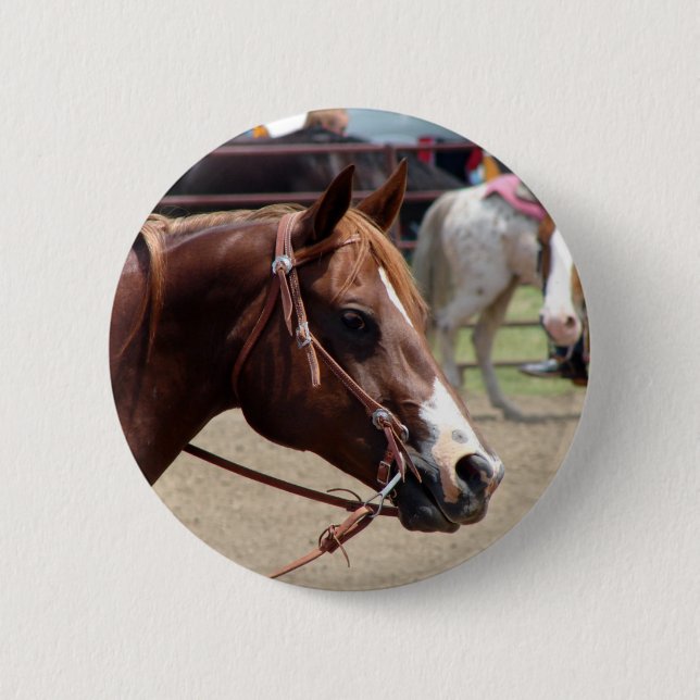 Vid Horse Show Knapp (Framsida)