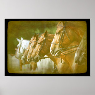 Vid Horse Show Poster