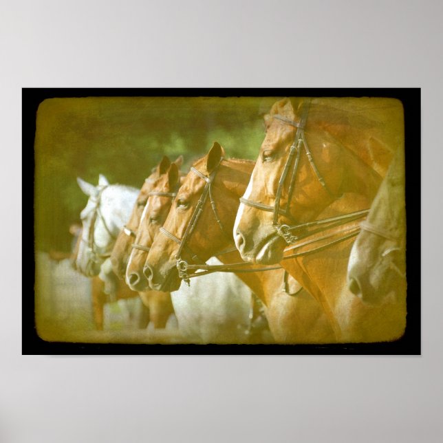 Vid Horse Show Poster (Framsidan)