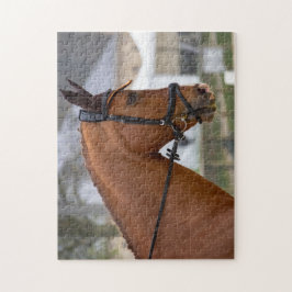 Vid Horse Show Pussel