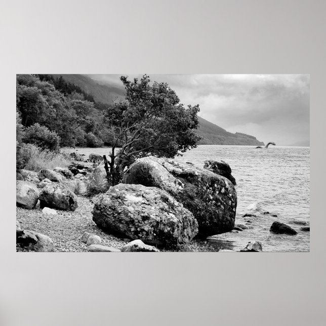 Vid Loch Ness kuster med monstret Poster (Framsidan)