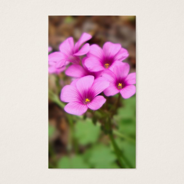 Vid min dörr Bokmärken Visitkort (Framsidan)