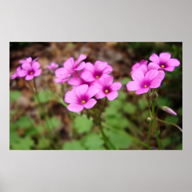 Vid min fotstegsutskrift poster (Framsidan)