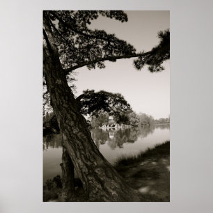 Vid parken poster