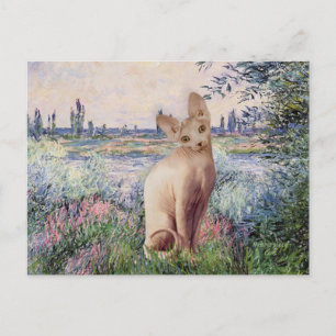 Vid Seine - Crème Sphynx katt Vykort