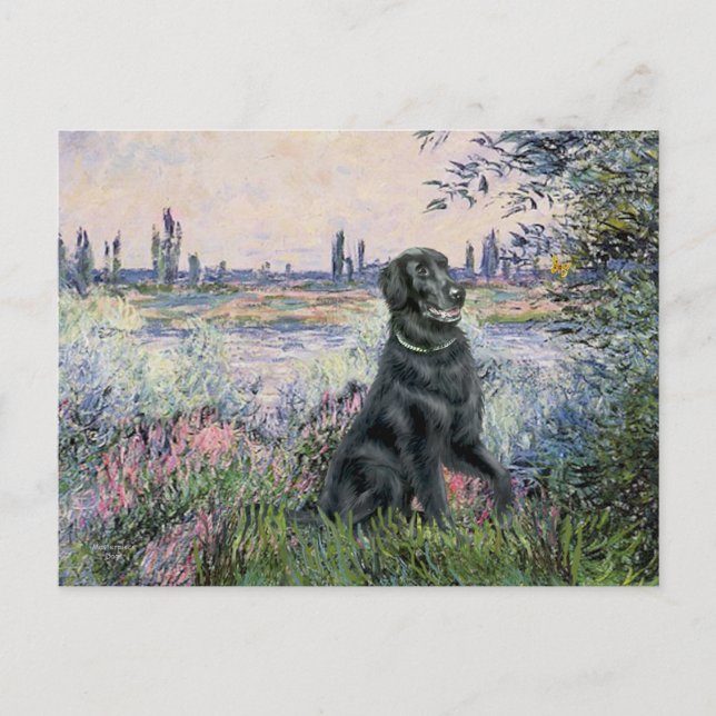 Vid Seine - Flat Coated Retriever Vykort (Framsida)
