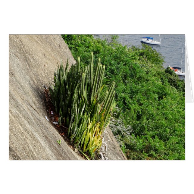 Vid sockerfärslimpan hälsningskort (Framsidan Horizontal)