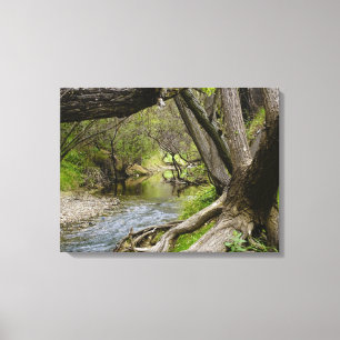 Vid The Creek Canvastryck
