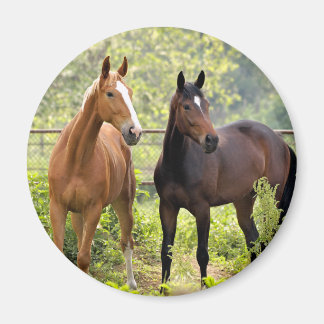 Vid uppmärksamhet magnet