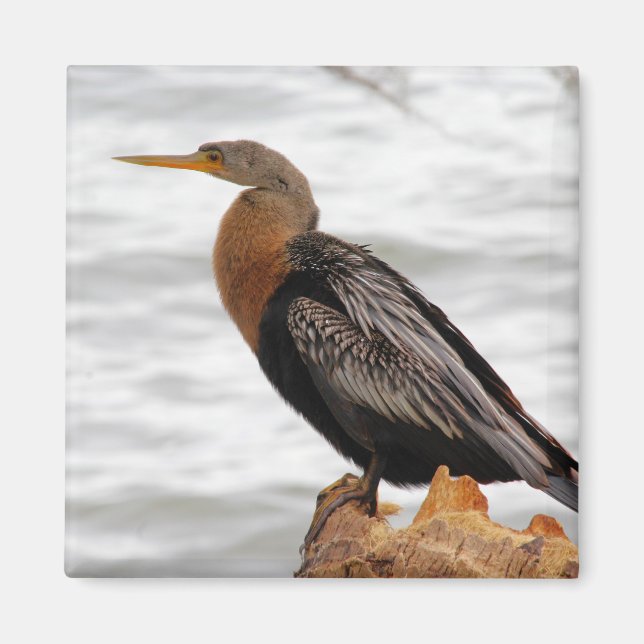 Vid uppslag magnet (Framsidan)