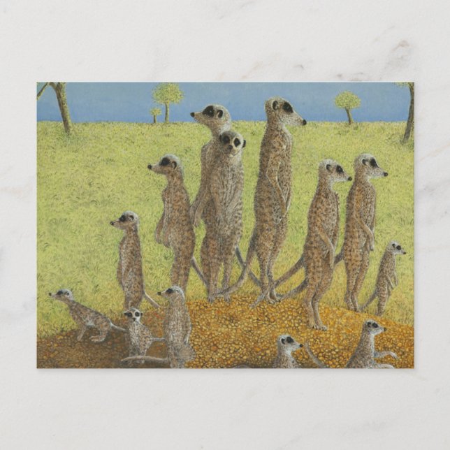 Vid utkik vykort (Framsida)