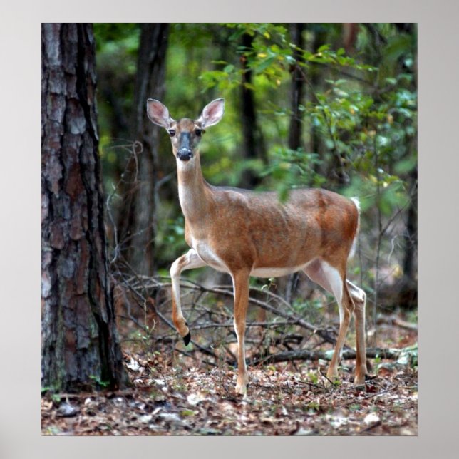 Vid varning poster (Framsidan)