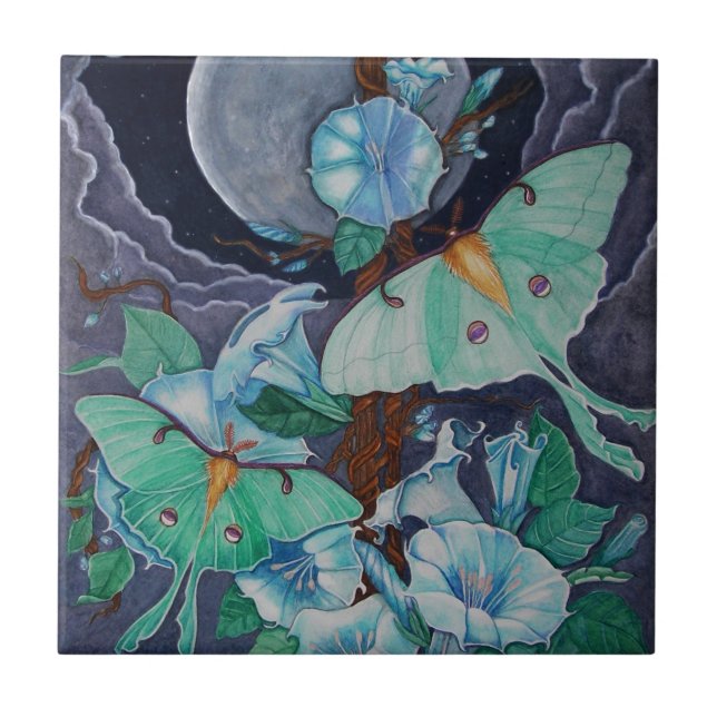 Vida de la Luna Kakelplatta (Framsidan)