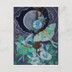 Vida de la Luna Vykort
