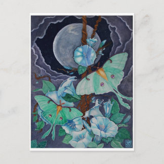 Vida de la Luna Vykort