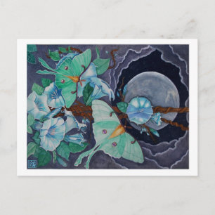 Vida de la Luna Vykort