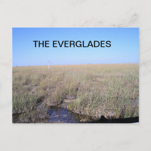 VIDDVIDD I EVERGLADES VYKORT